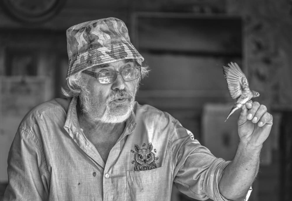 Gentle Man And Bird by Holger Goehler — canvas wall art