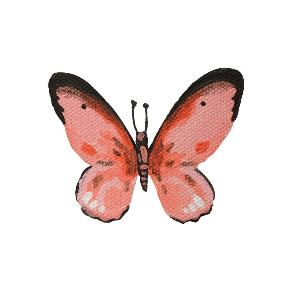 Pink Butterfly by Madison Phipps — canvas wall art