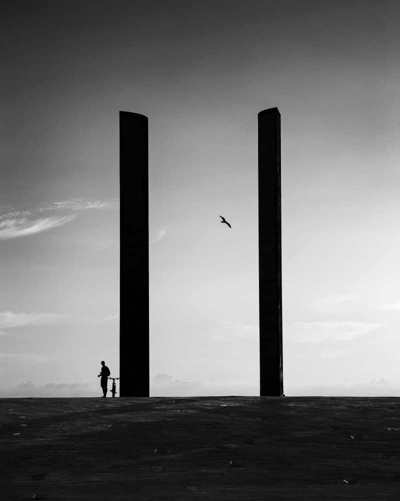 Minimalist Pillars and Bird by Gonçalo Capitão — canvas wall art