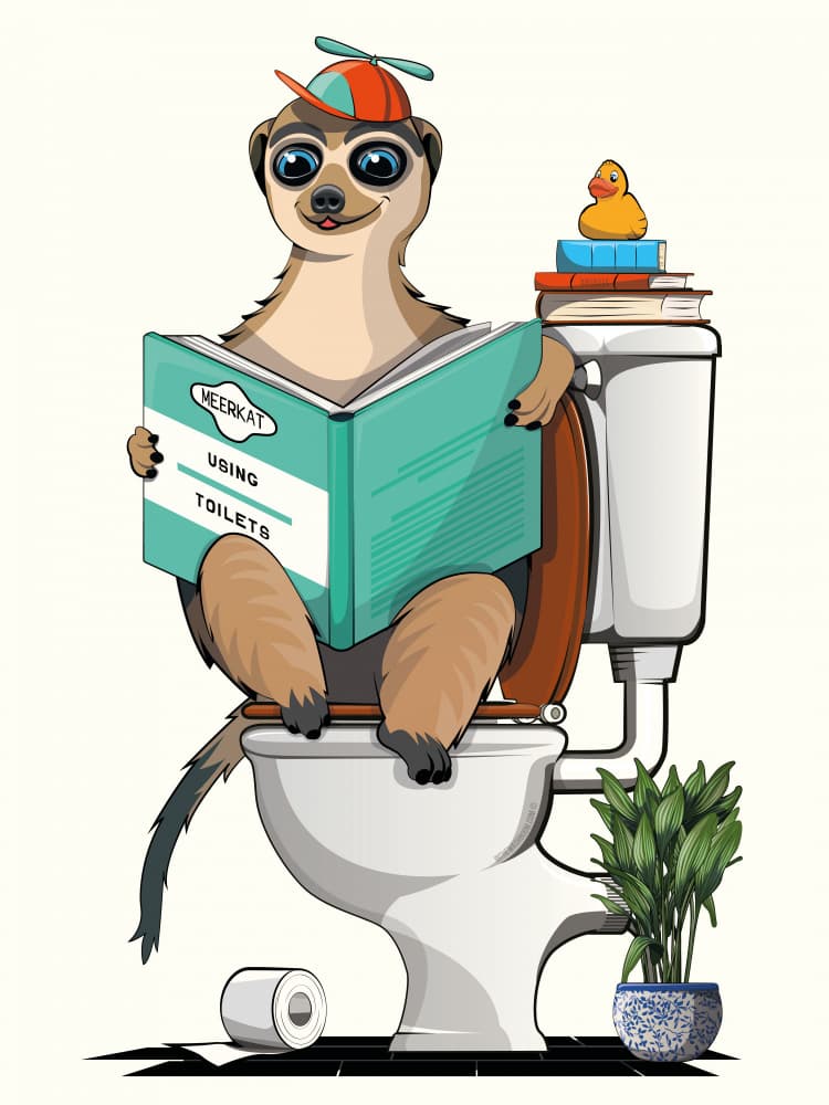 Meerkat Reading Toilets by In The Washroom — canvas wall art
