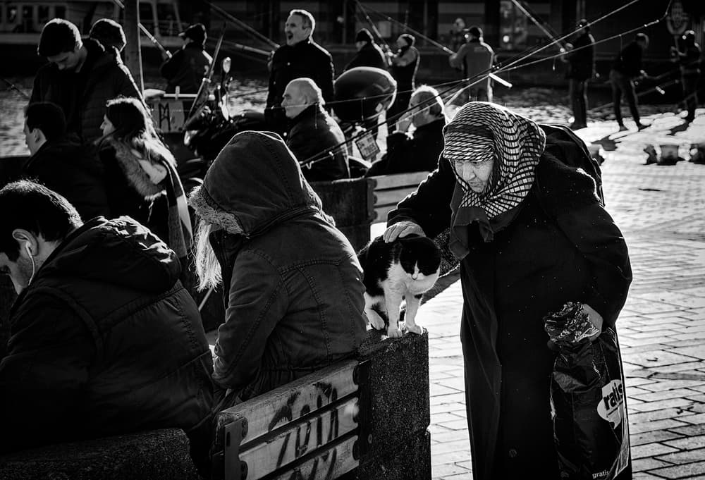 Old Woman Street Cat by Yavuz Pancareken — canvas wall art