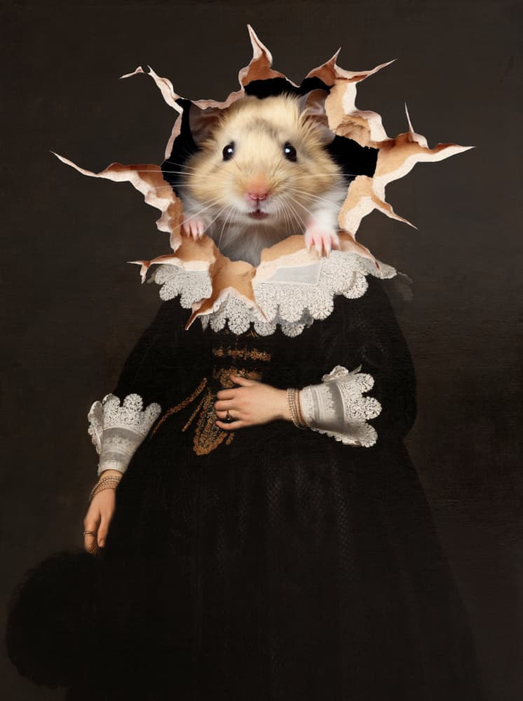 Surprise Hamster Portrait by Marja van den Hurk — canvas wall art