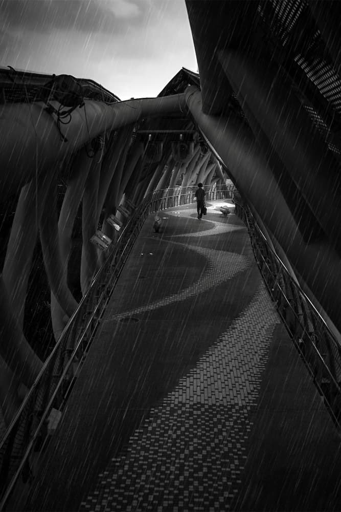 Lone Figure Rainy Path by MingLun Tsai (蔡明倫) — canvas wall art