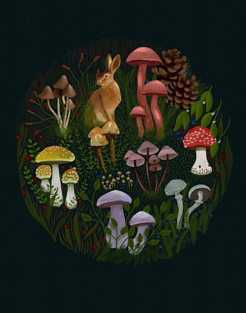 Night Rabbitv2 by Katie O'Shea — canvas wall art
