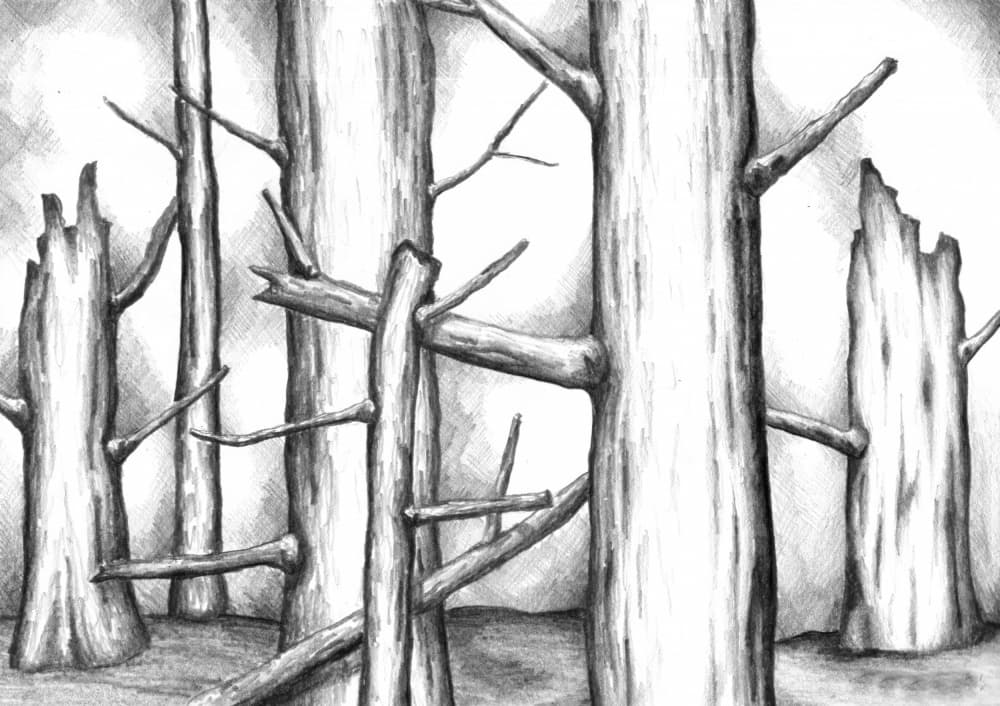 Barren Forest Drawing by Kulik — canvas wall art