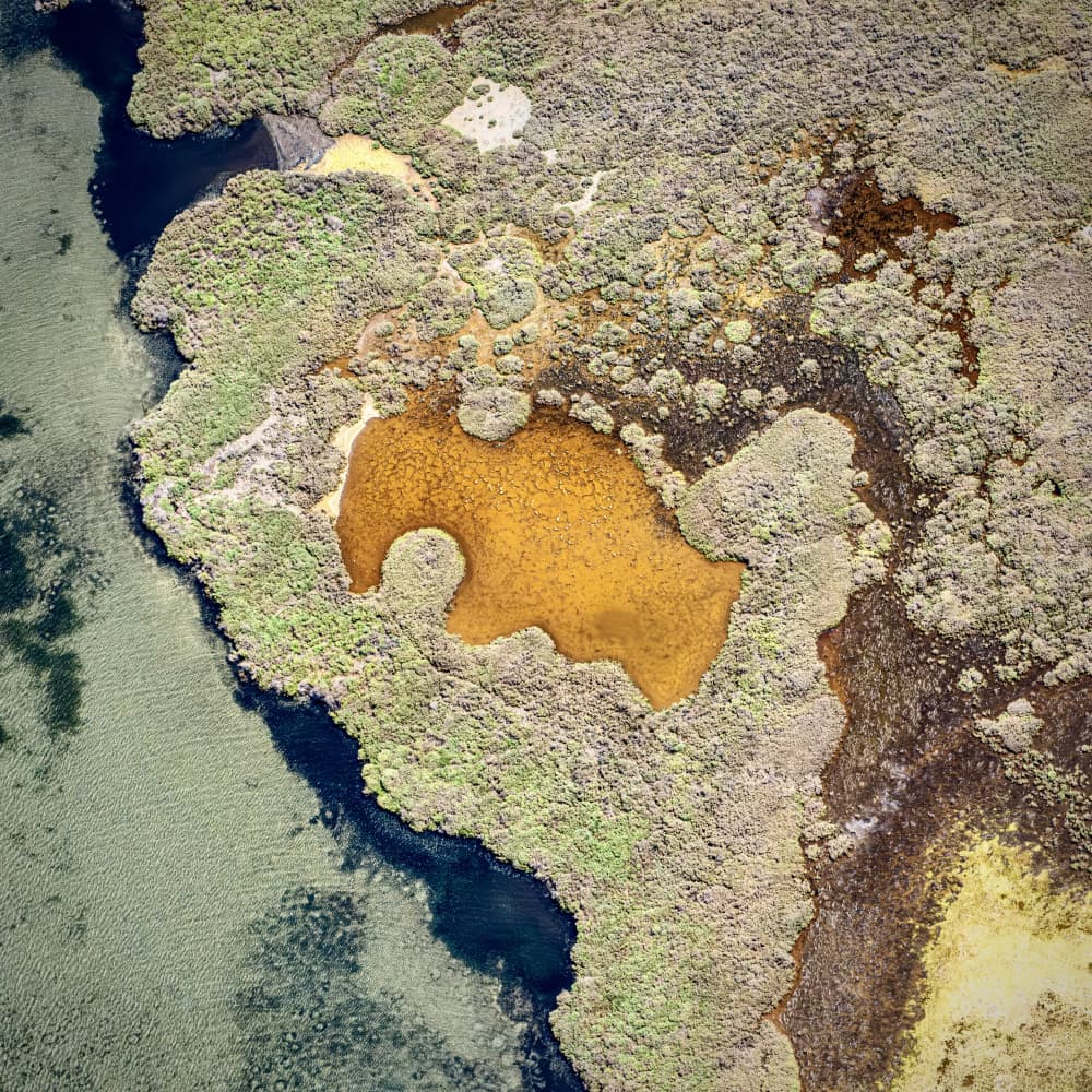 Marsh Island Lagoon by Robert Bolton — canvas wall art
