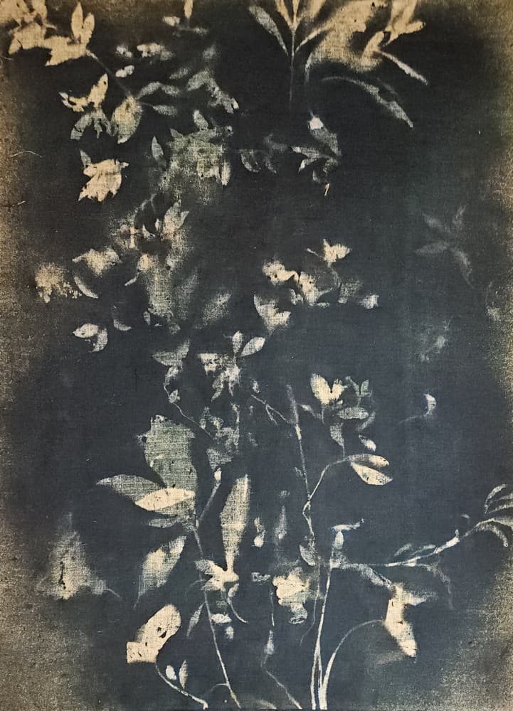 Vintage Botanical Leaves by Stefano Mazzolini — canvas wall art
