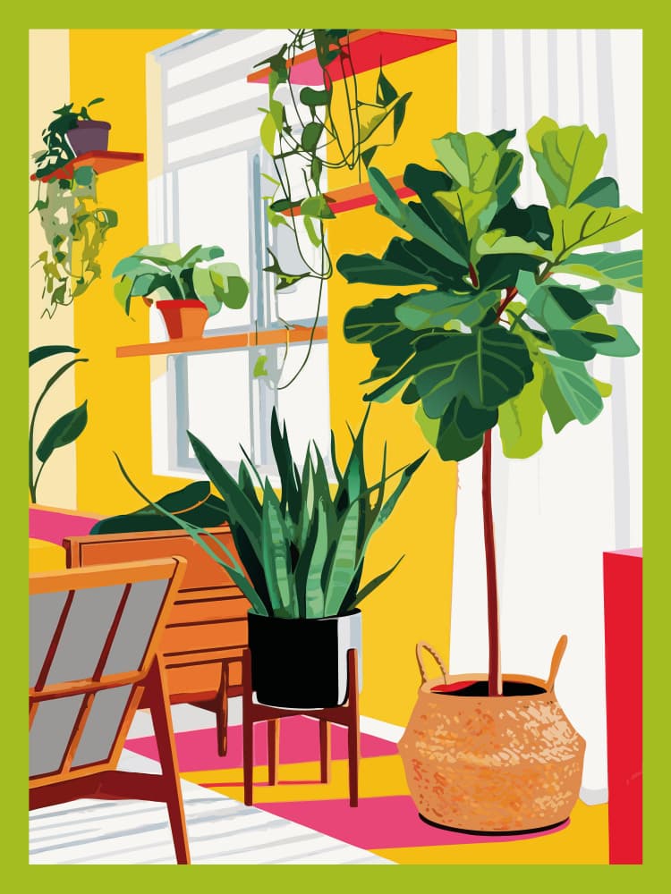 Sunny Indoor Plants by WallChart Art Studio — canvas wall art