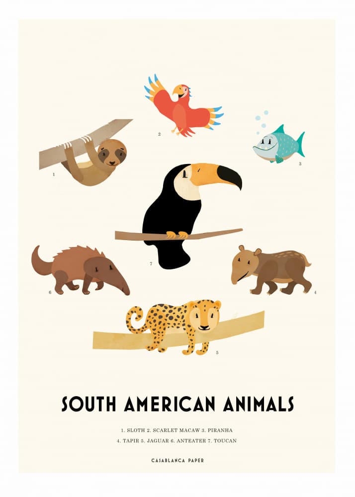 South American Animals by Erik Wintzell — canvas wall art