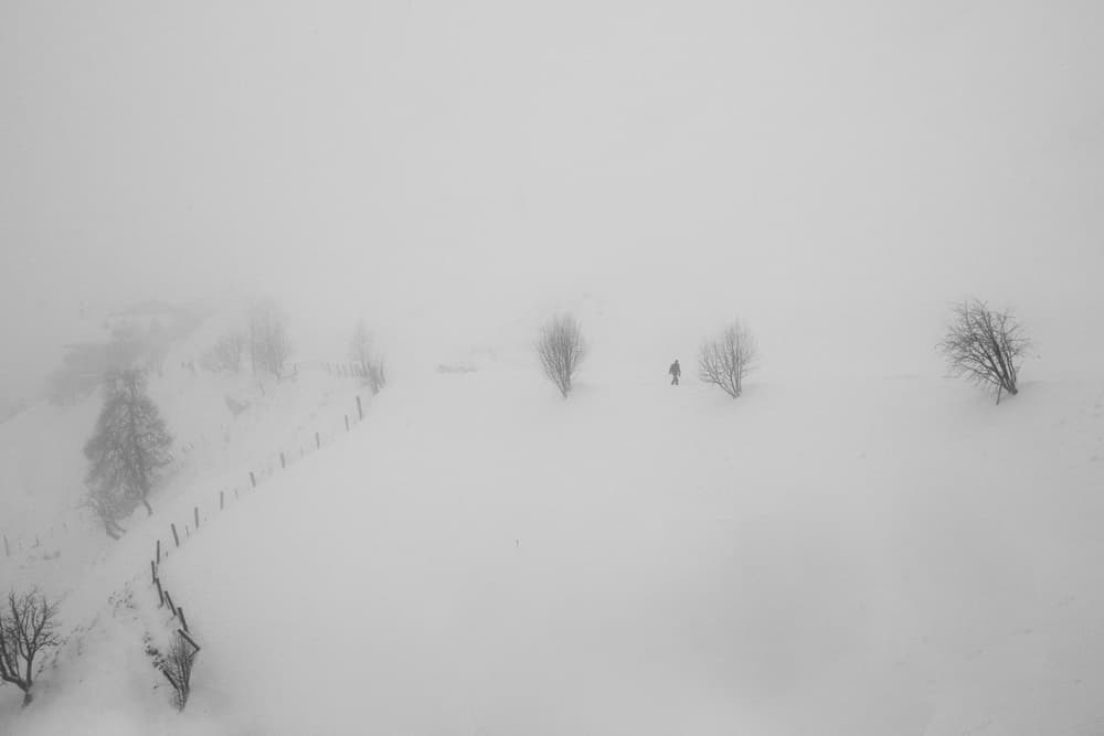 Misty Winter Wanderer by Marchevca Bogdan — canvas wall art