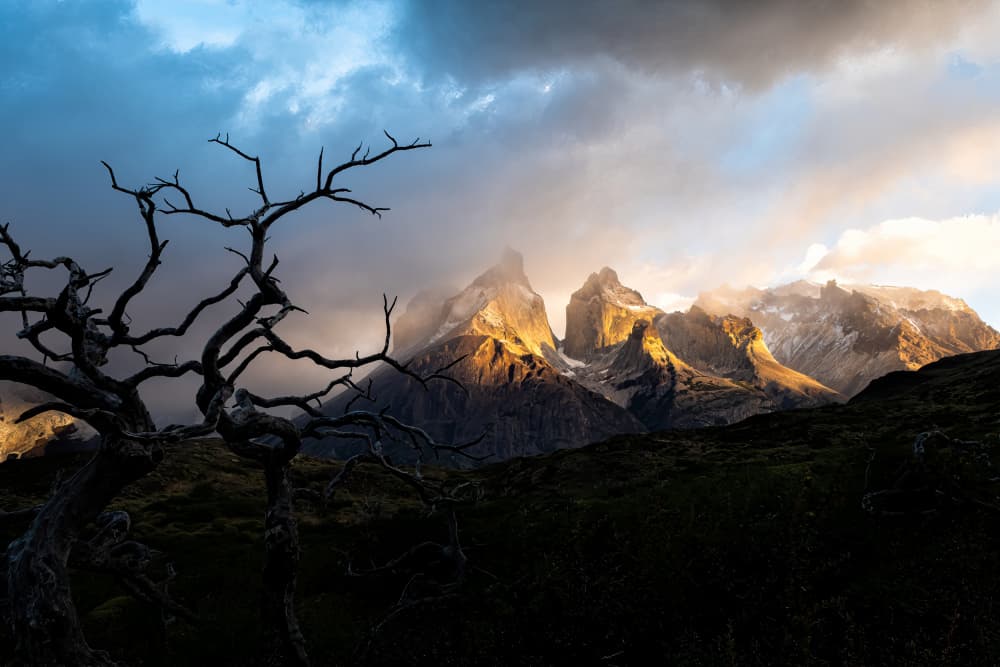 Golden Patagonia Peaks by Michel Groleau — canvas wall art