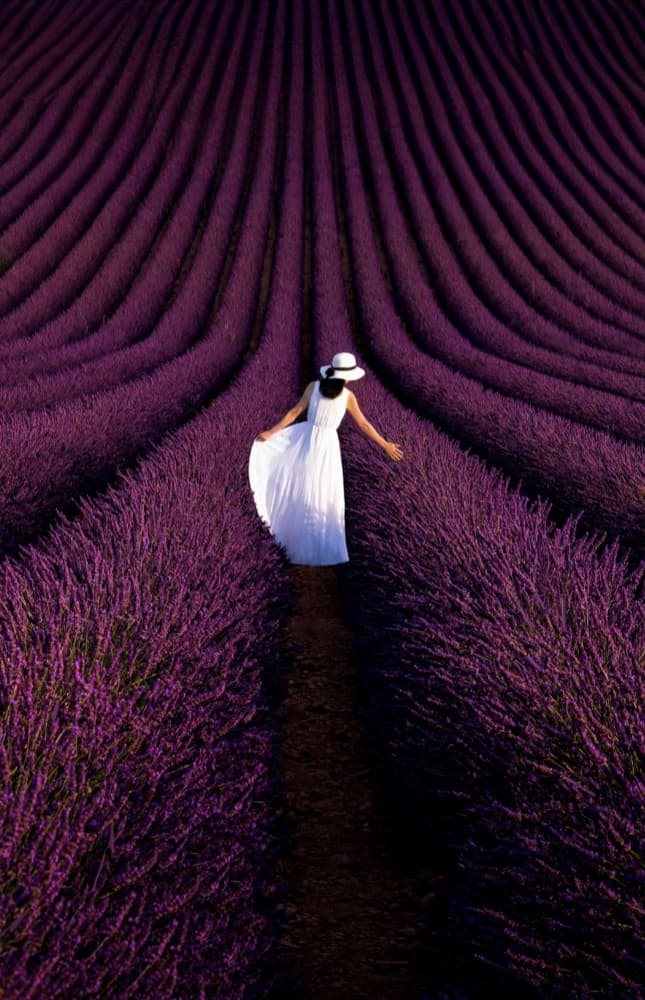 Woman In Lavender Field by Kenneth-Wei Zeng — canvas wall art