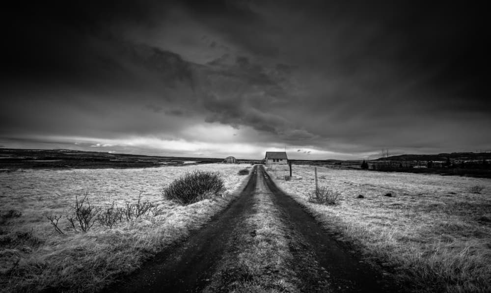 Stark Rural Landscape by Allan Li wp — canvas wall art