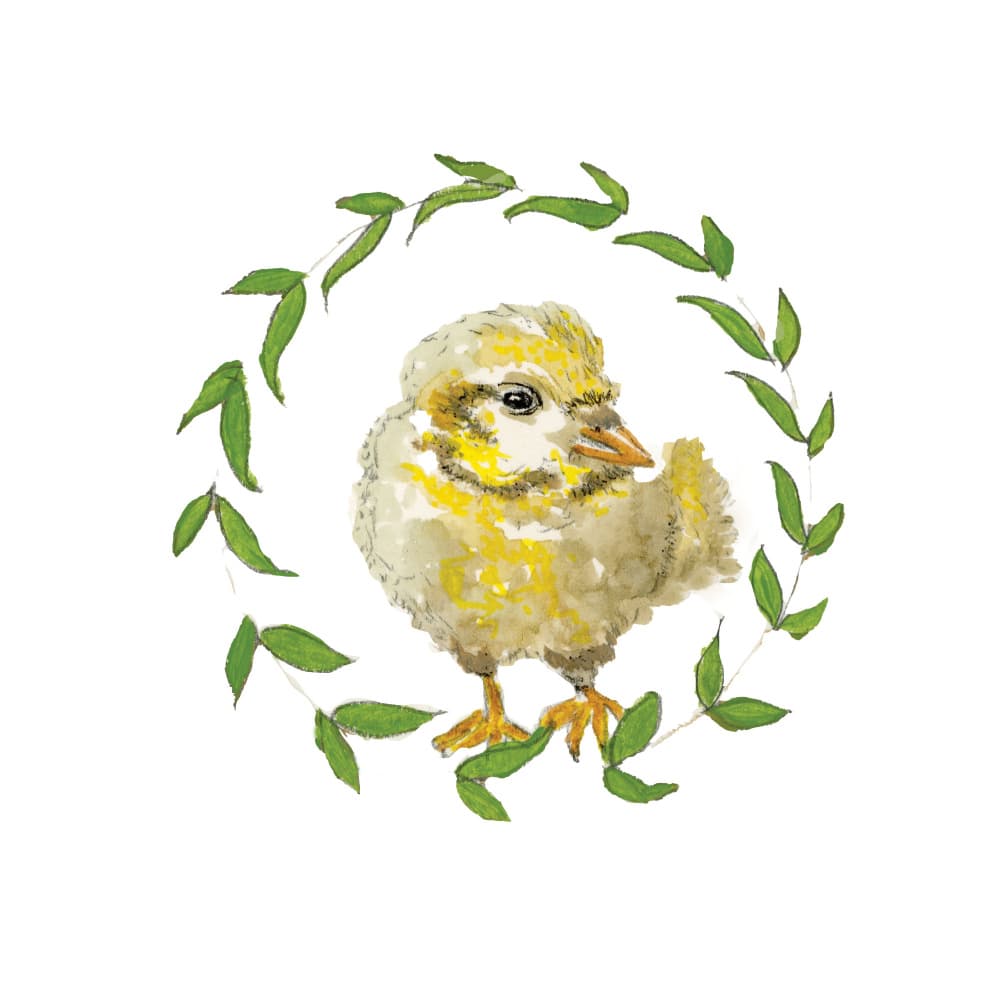 Sweet Baby Bird Wreath by Breanna Megan Studio — canvas wall art