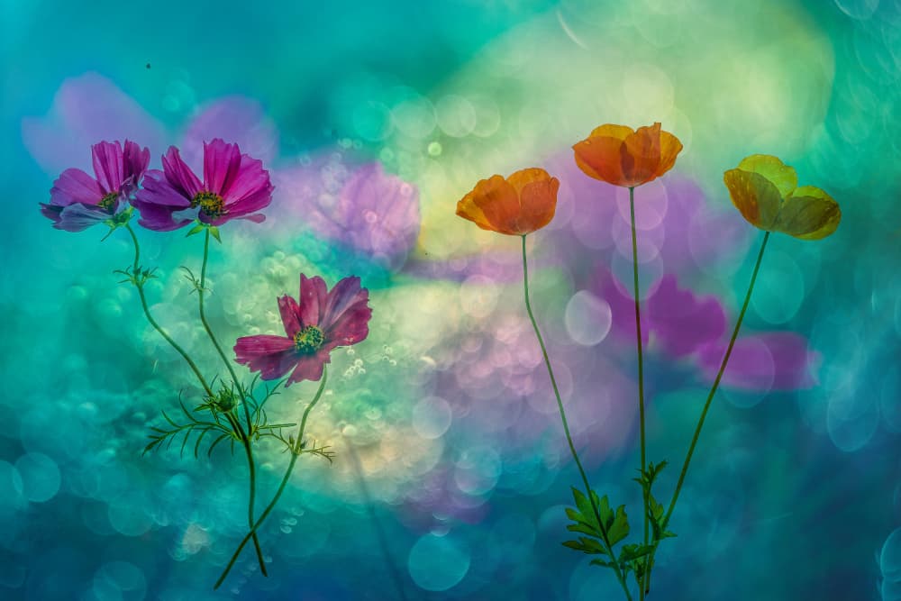 Vibrant Garden Dreams by Hilda van der Lee — canvas wall art