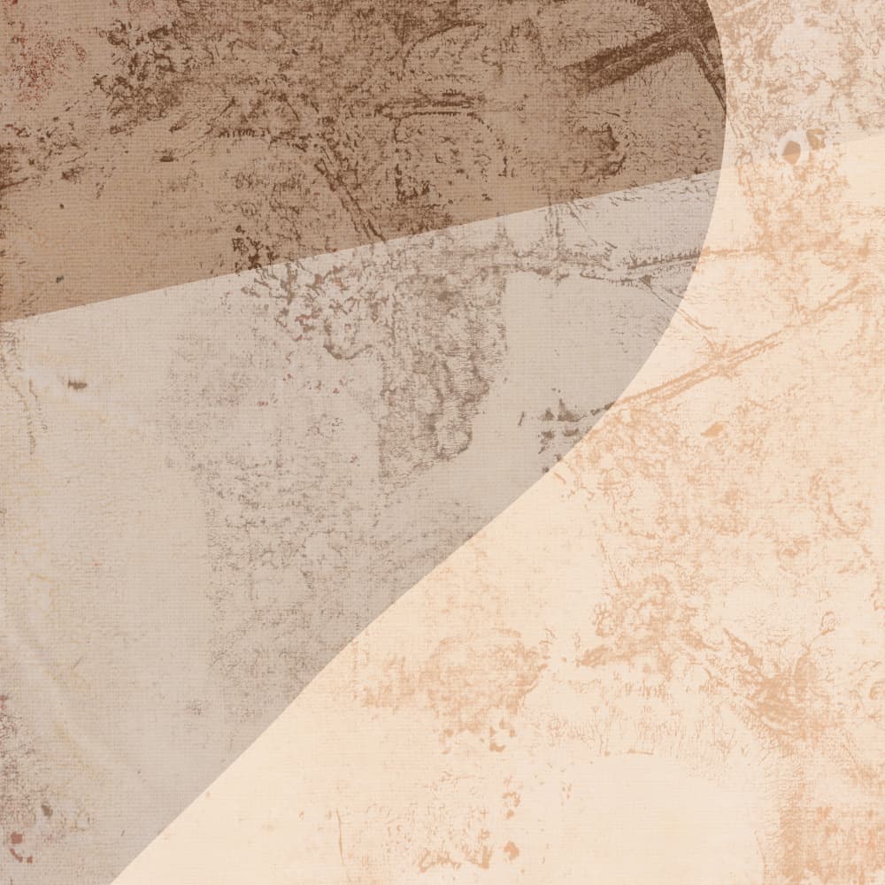 Modern Earthy Curves by Dina Dankers — canvas wall art