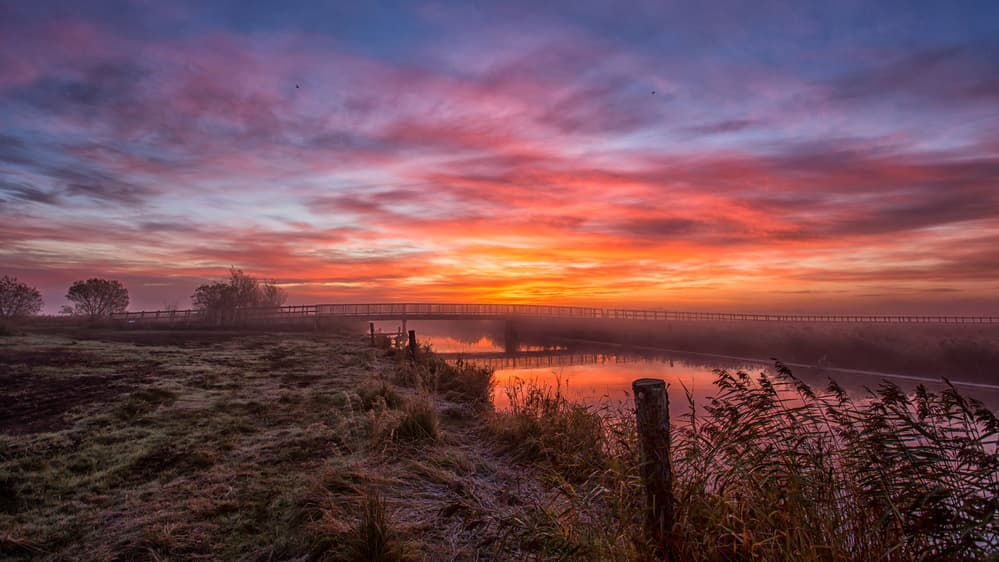 Vibrant Misty Morning by Leif Løndal — canvas wall art