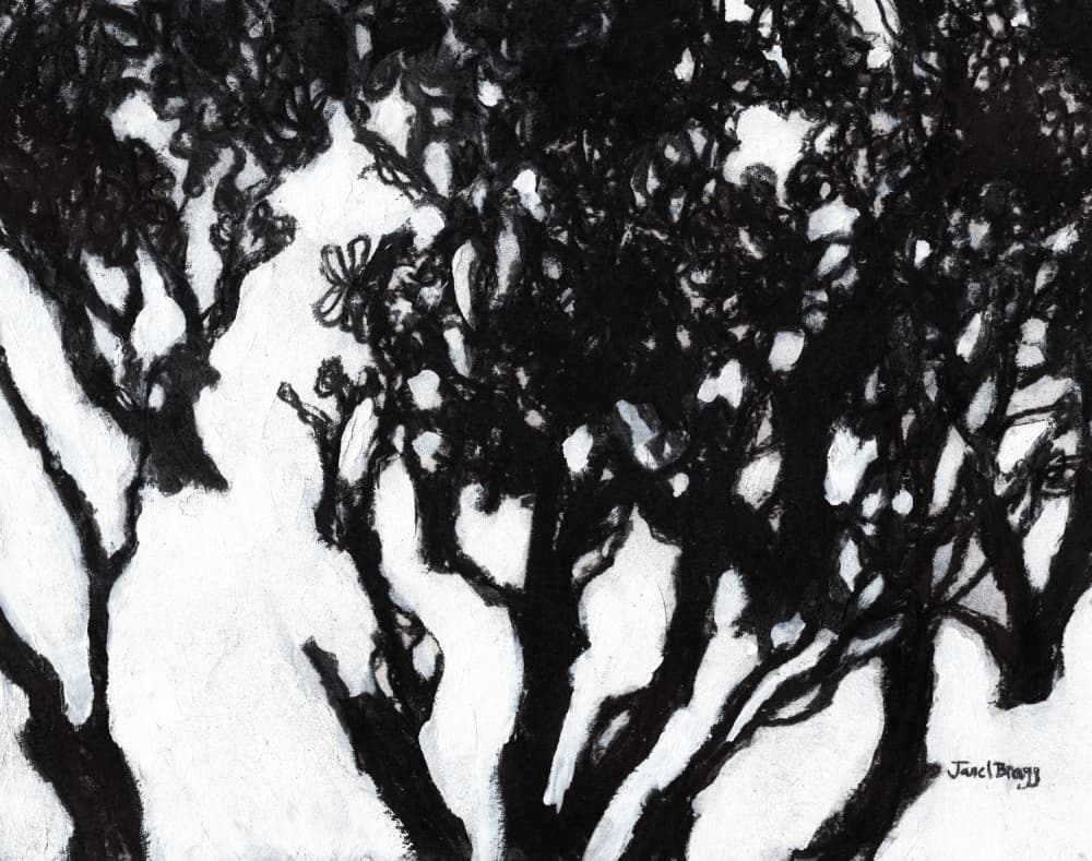 Stark Forest Silhouette by Janel Bragg — canvas wall art