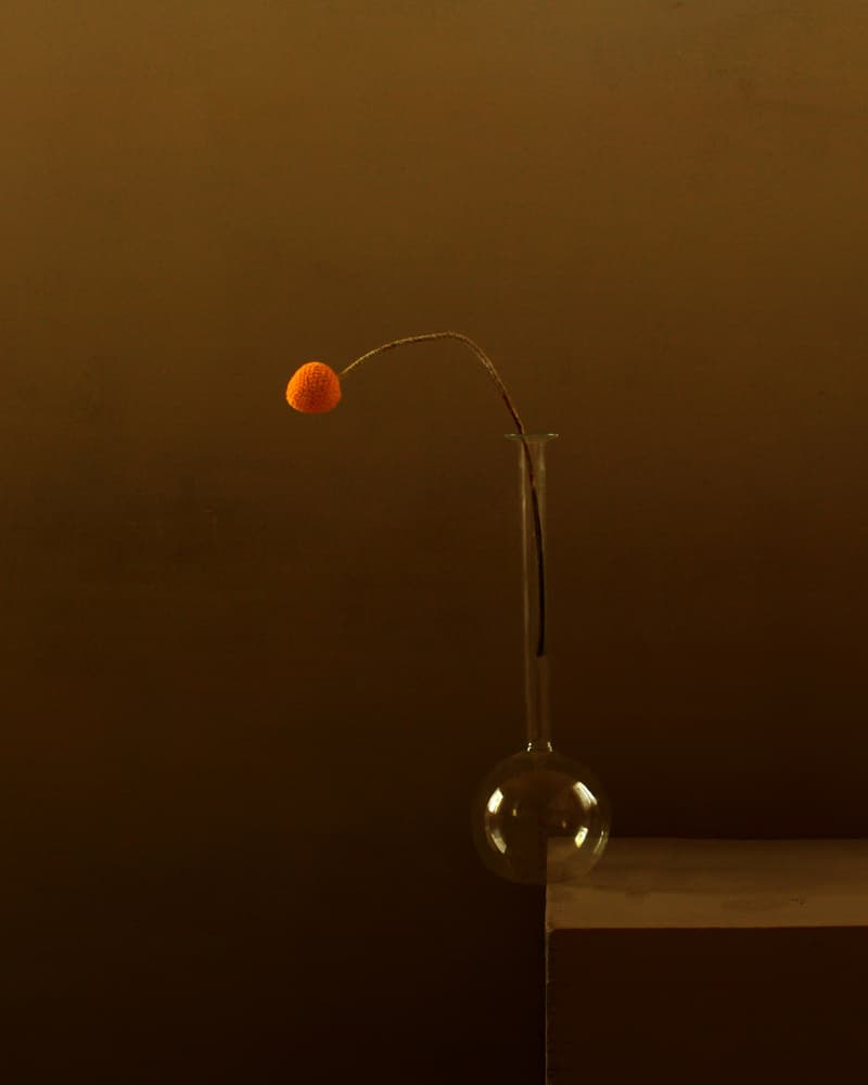 Minimalist Orange Flower by Margaret Halaby — canvas wall art