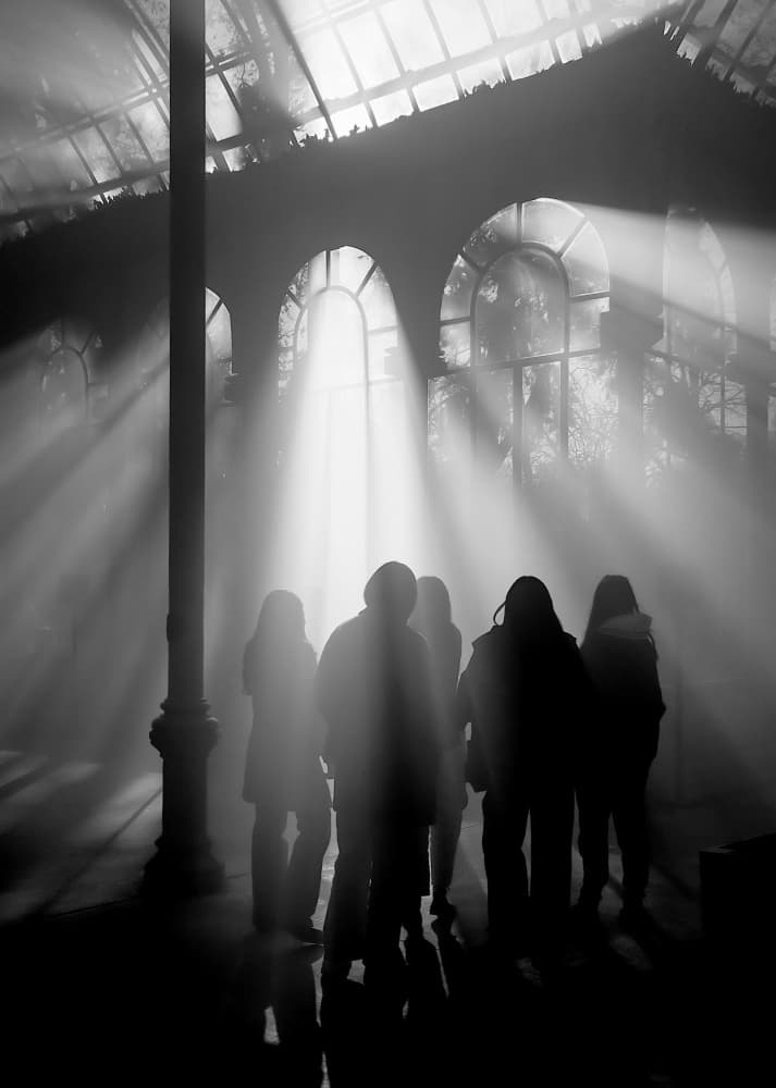 Mysterious Greenhouse Light by Adolfo Urrutia — canvas wall art