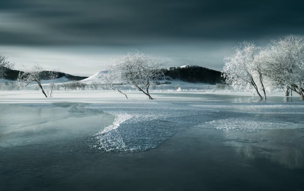 Frozen Winter Landscape by Songlin Xu — canvas wall art