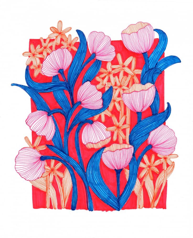 Pretty in Pink by Katie O'Shea — canvas wall art