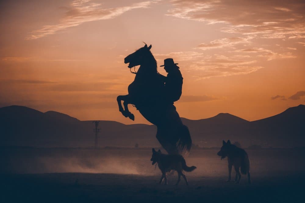 Cowboy Horse Sunset Ride by M. Emre Erol — canvas wall art