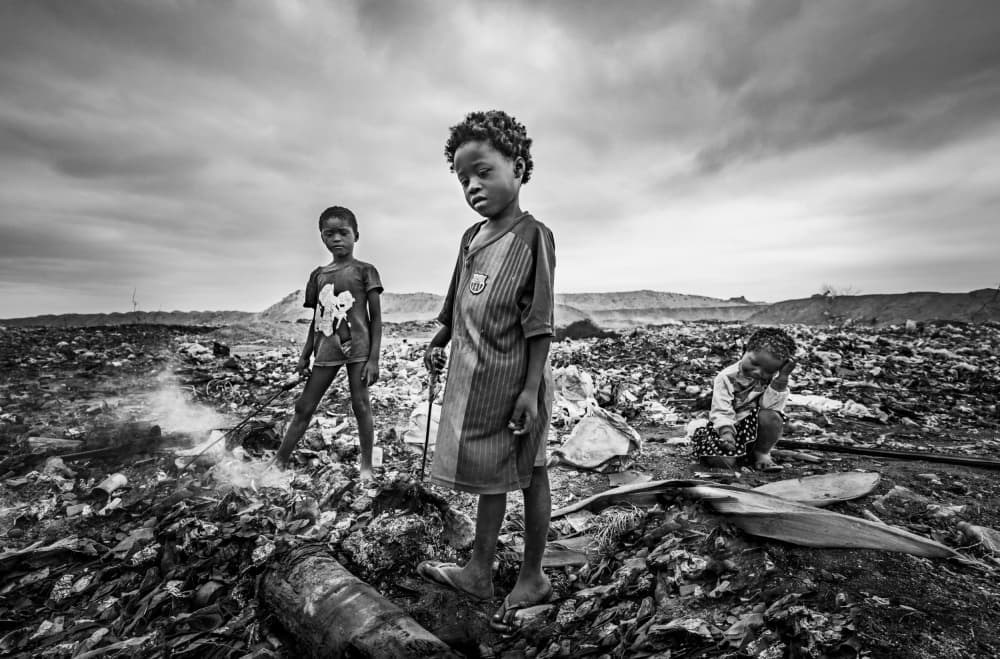 Defeated by João Coelho — canvas wall art