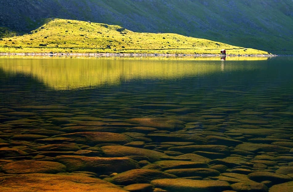 Clear Lakebed Reflection by Bror Johansson — canvas wall art