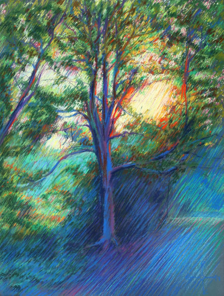 Sunlit Forest Path by Corné Akkers — canvas wall art