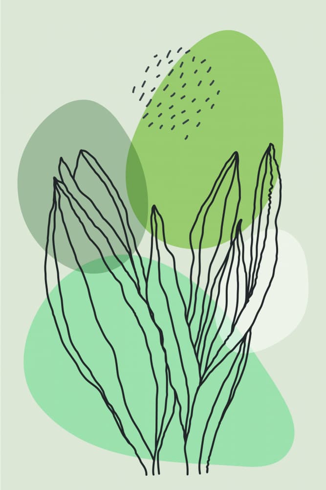 Abstract Green Botanicals by jay stanley — canvas wall art