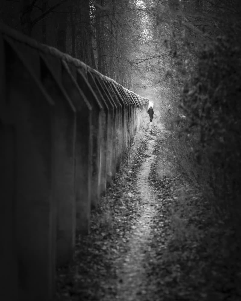 Man on a Forest Path by Andy Dauer — canvas wall art