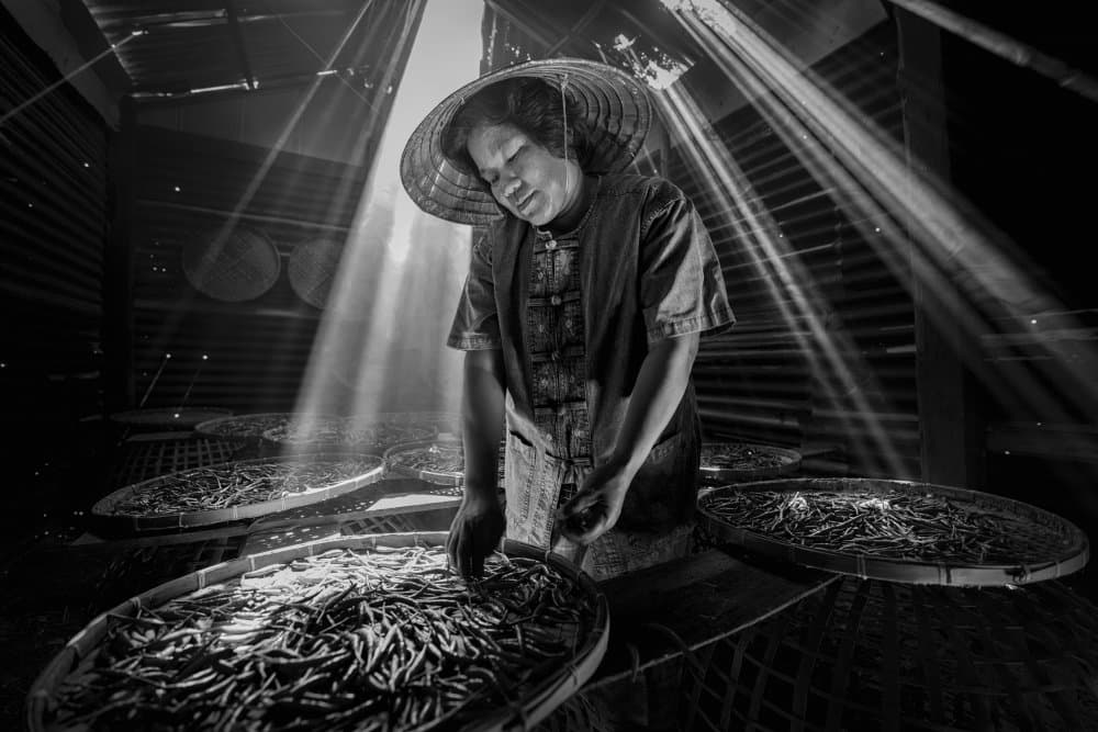 Humble Harvest Light by Sarawut Intarob — canvas wall art