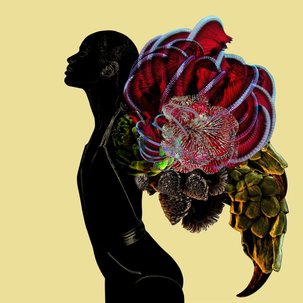 Vibrant Organic Figure by Lolita Lorenzo — canvas wall art