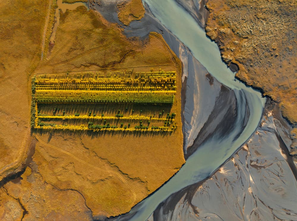 Golden River Farm by Jure Kravanja — canvas wall art