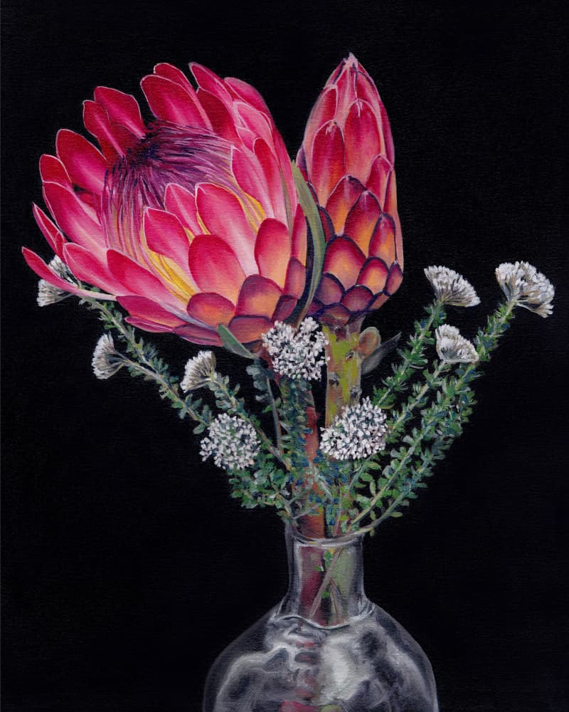 Vibrant Protea Blooms by Viccy Wanliss — canvas wall art