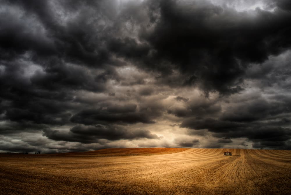 Dramatic Golden Field by Jose C. Lobato — canvas wall art