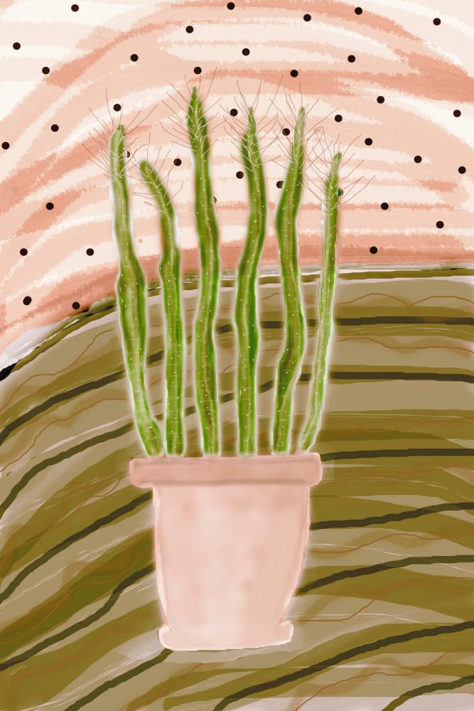 Delicate Potted Cactus by Christina Sillen — canvas wall art