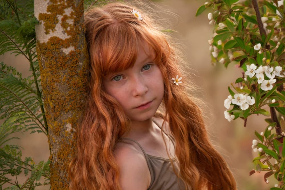 Ginger by Svetlana Kirzh — canvas wall art