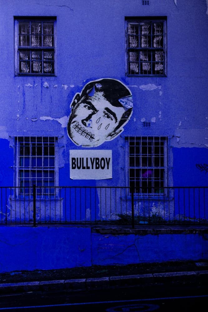 Bully Boy by Shot by Clint — canvas wall art