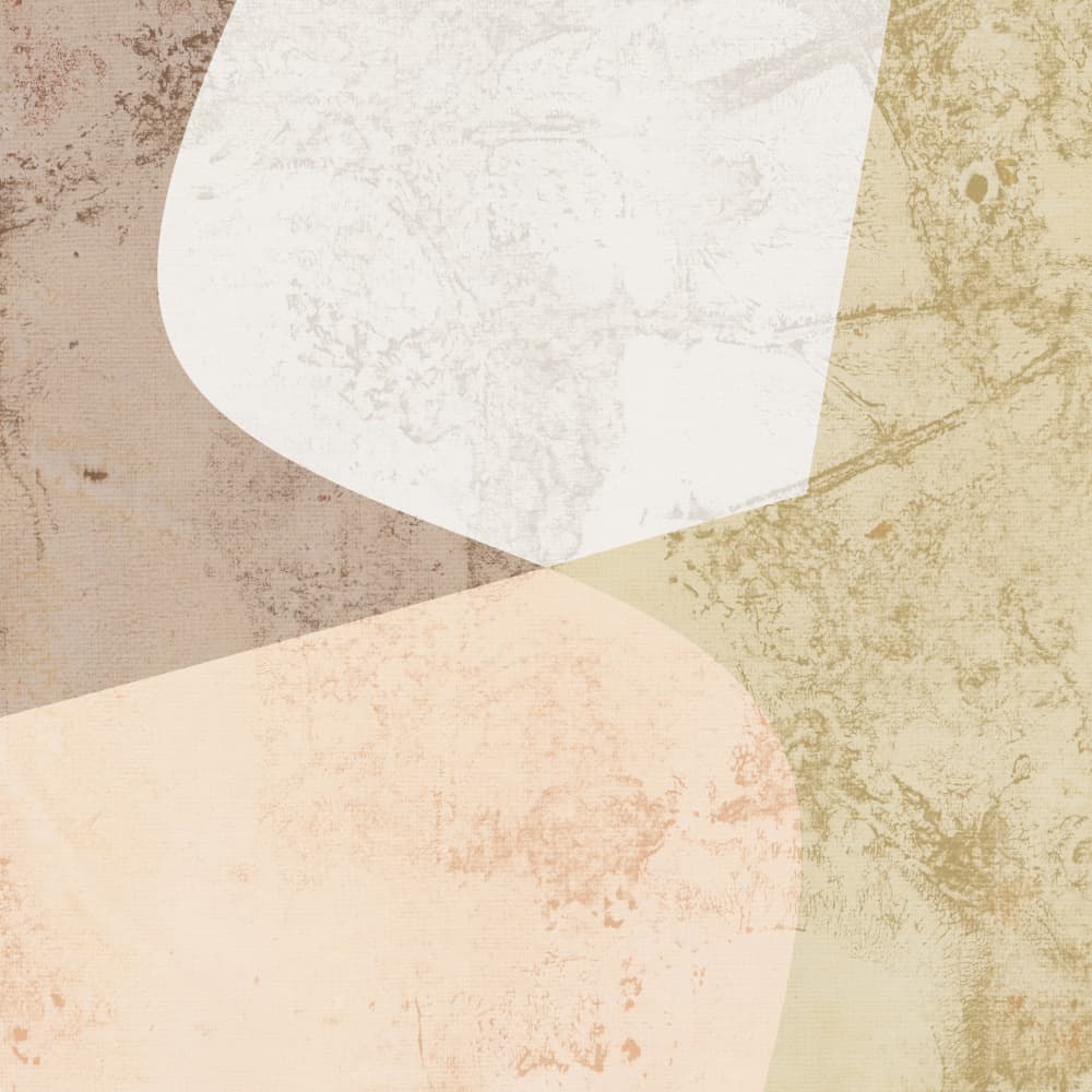 Minimalist Organic Shapes by Dina Dankers — canvas wall art