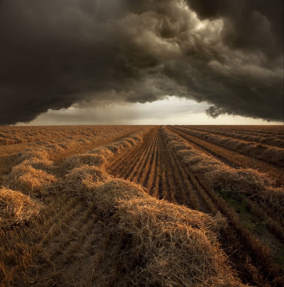 Storm Over Harvested Field by Nicolas Schumacher — canvas wall art