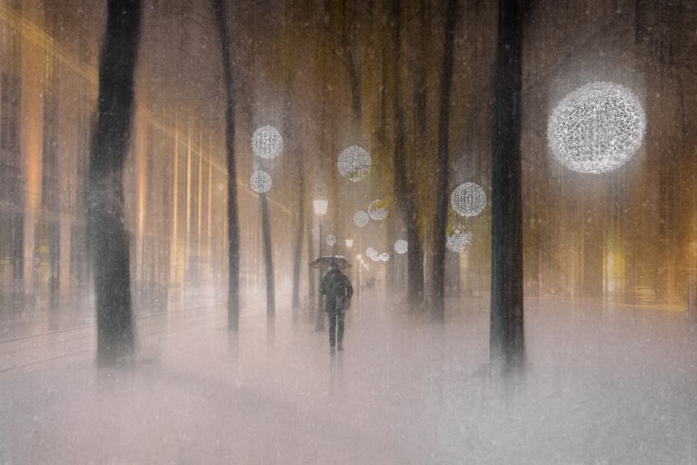 Winter Night Walk by Roswitha Schleicher-Schwarz — canvas wall art