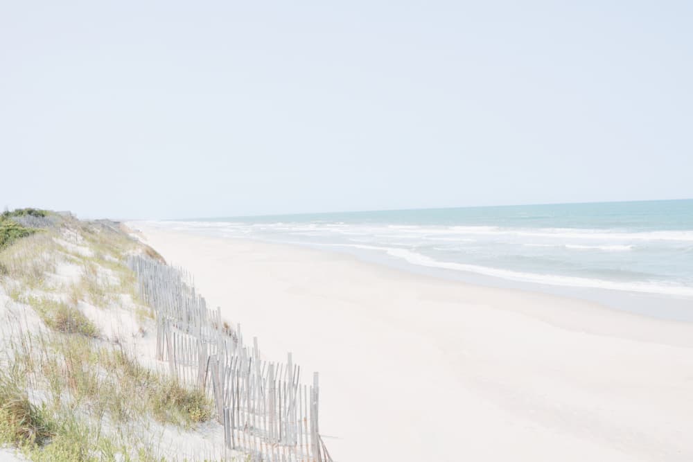 Tranquil Beach Dunes by Jemma Morris — canvas wall art