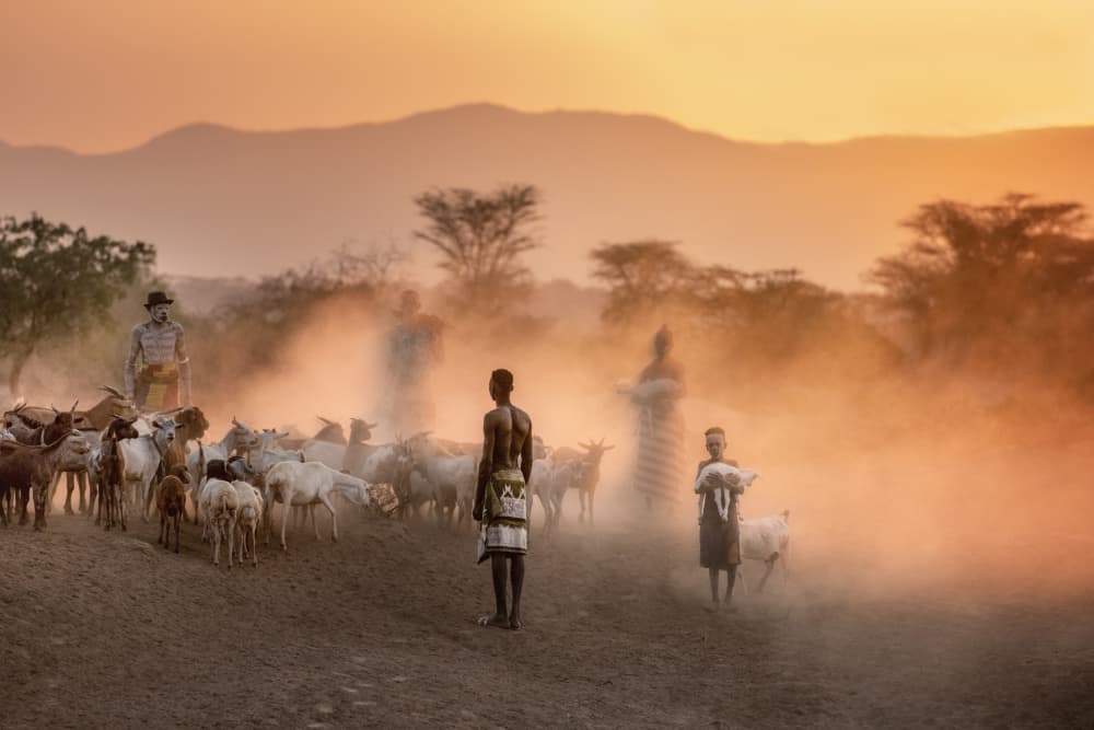 African Herders Golden Sunset by Trevor Cole — canvas wall art