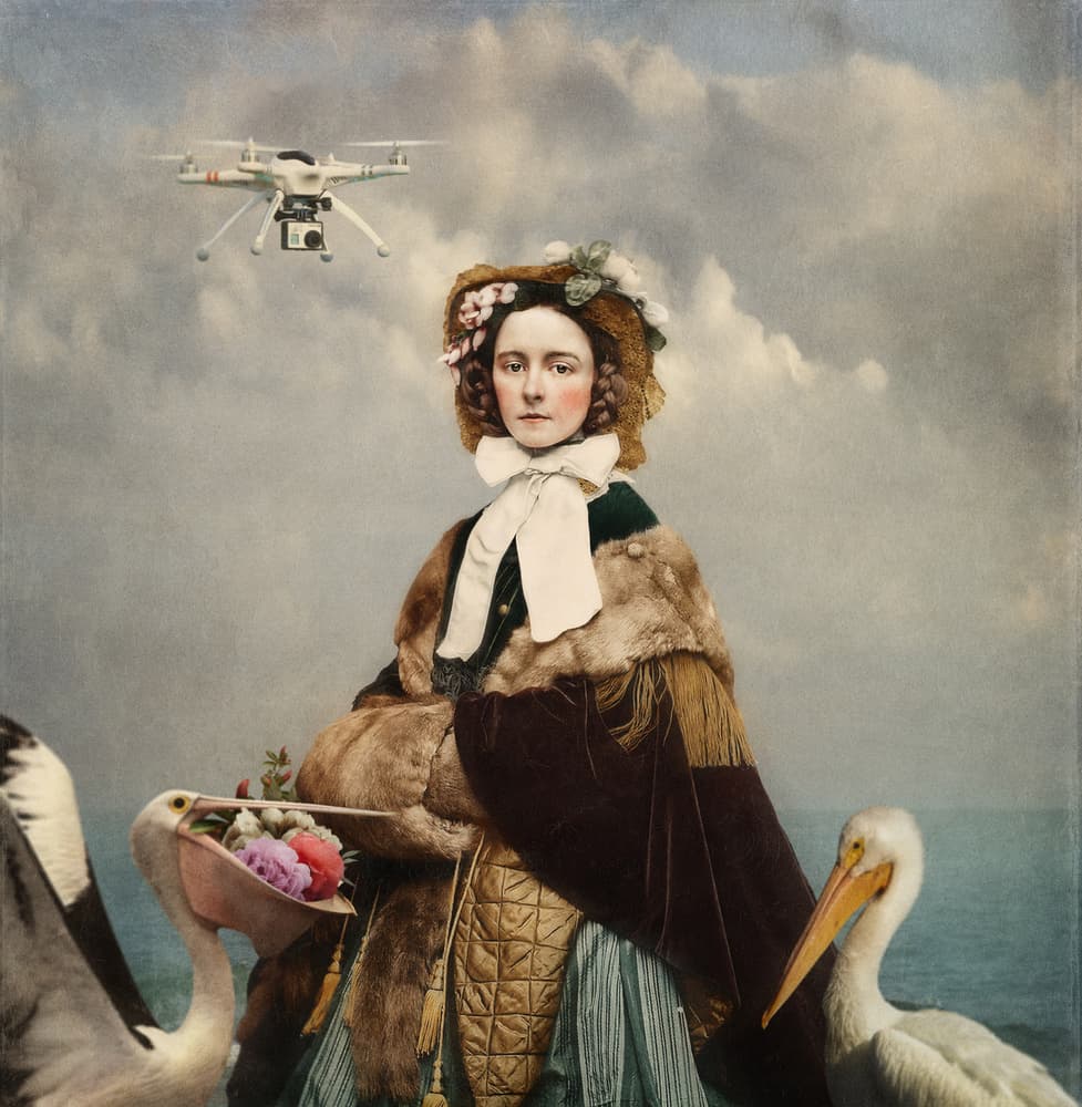 Elegant Lady Drone Encounter by Svetlana Melik-Nubarova — canvas wall art