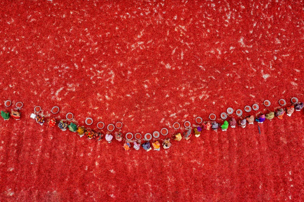 Colorful Procession on Red by Azim Khan Ronnie — canvas wall art