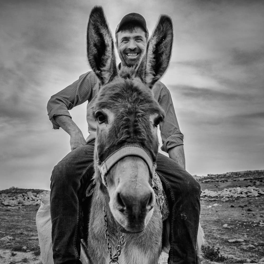 Man Donkey Smile by Yavuz Pancareken — canvas wall art