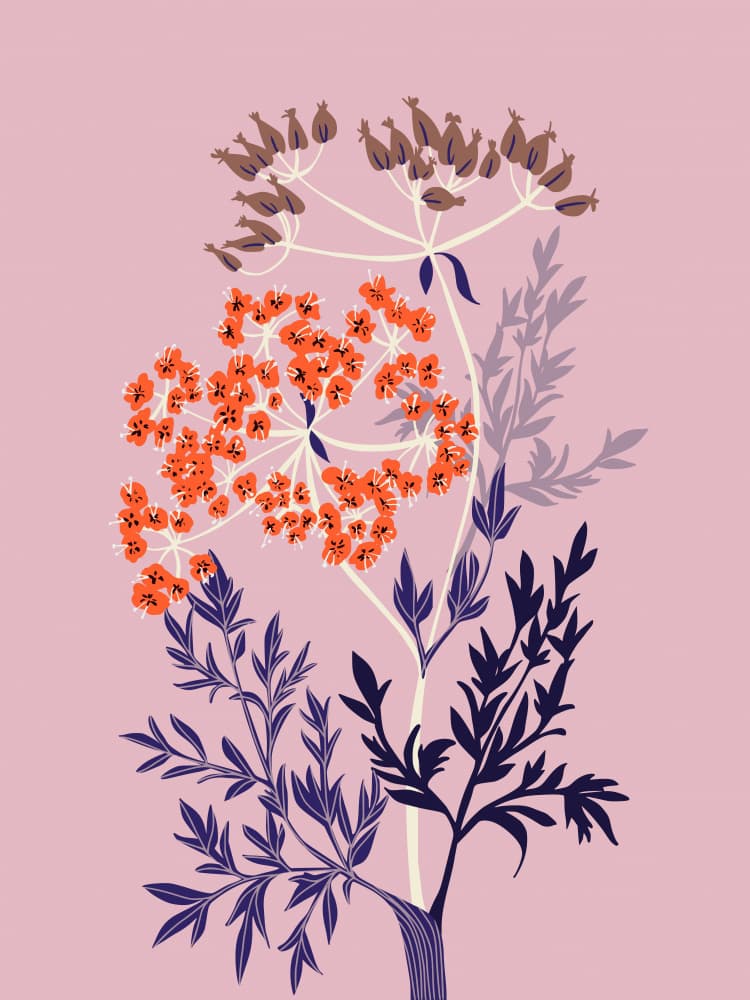 Orange Bloom Botanicals by Annick — canvas wall art