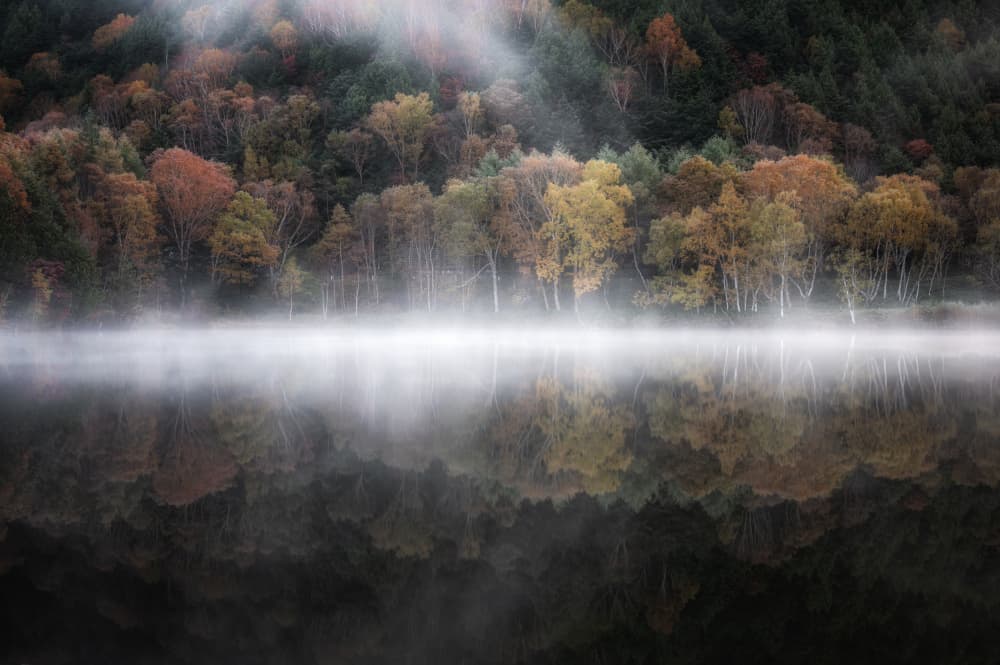 Misty Autumn Lake Reflection by Daiki Suzuki — canvas wall art